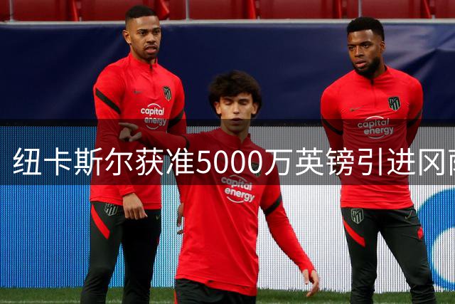 纽卡斯尔获准5000万英镑引进冈萨雷斯 夏窗冲刺再签两将